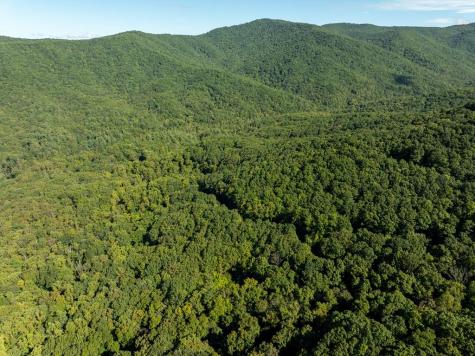 Lot 4 Wilderness Way Ellijay GA 30536