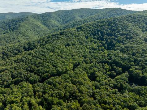 Lot 4 Wilderness Way Ellijay GA 30536