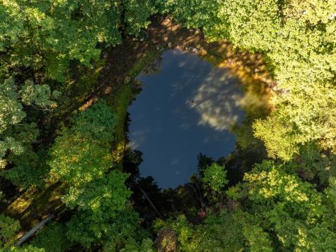 Lot 4 Wilderness Way Ellijay GA 30536