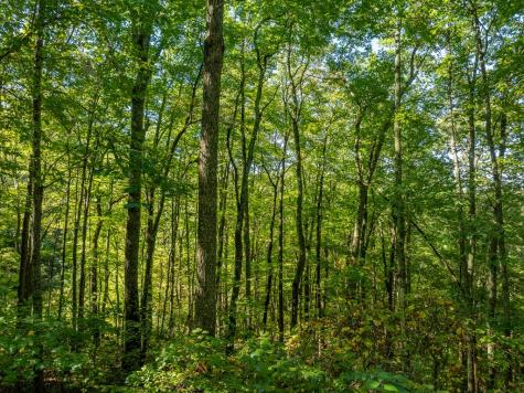 Lot 4 Wilderness Way Ellijay GA 30536