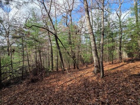 Lot 10 Wildcat Creek Suches GA 30572