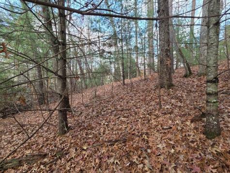 Lot 10 Wildcat Creek Suches GA 30572