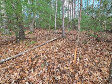 Lot 10 Wildcat Creek Suches GA 30572