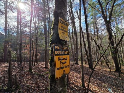 Lot 10 Wildcat Creek Suches GA 30572