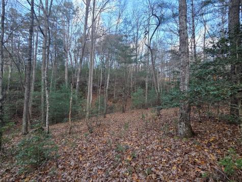 Lot 10 Wildcat Creek Suches GA 30572