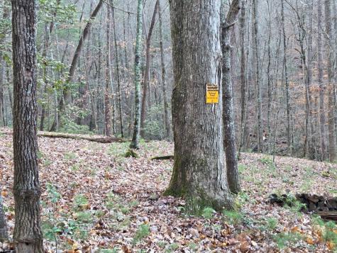 Lot 10 Wildcat Creek Suches GA 30572