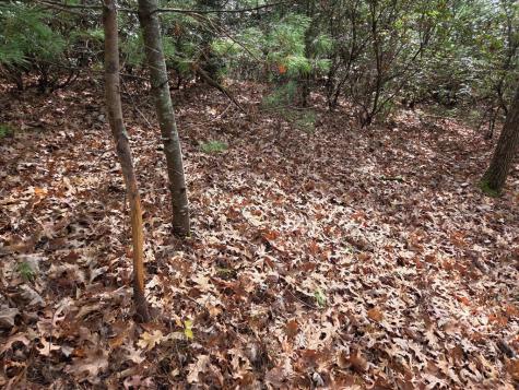 Lot 10 Wildcat Creek Suches GA 30572