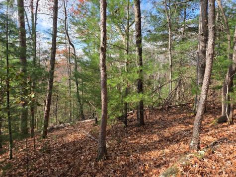 Lot 10 Wildcat Creek Suches GA 30572
