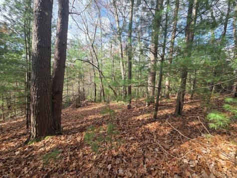 Lot 10 Wildcat Creek Suches GA 30572