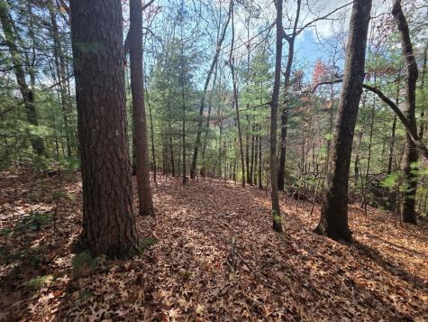 Lot 10 Wildcat Creek Suches GA 30572