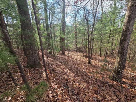 Lot 10 Wildcat Creek Suches GA 30572