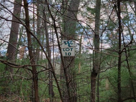Lot 10 Wildcat Creek Suches GA 30572