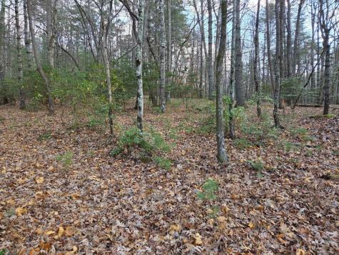 Lot 10 Wildcat Creek Suches GA 30572