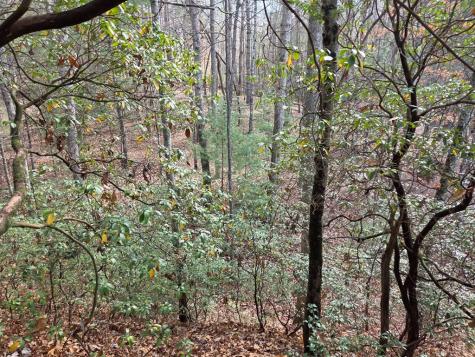 Lot 10 Wildcat Creek Suches GA 30572