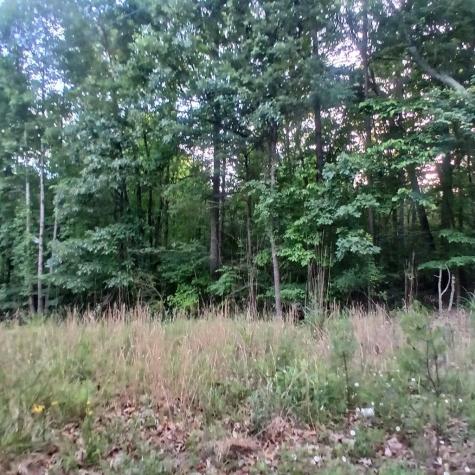 TR'3 Raven Cliff Road Talking Rock GA 30175