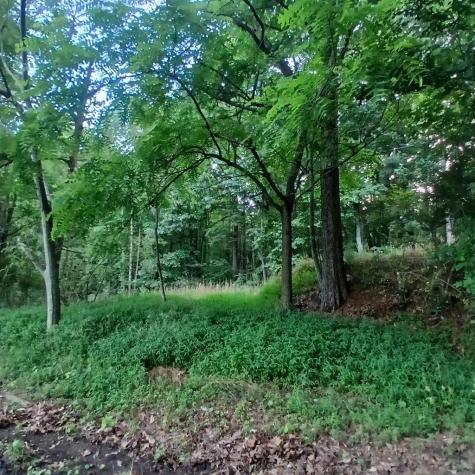 TR'3 Raven Cliff Road Talking Rock GA 30175