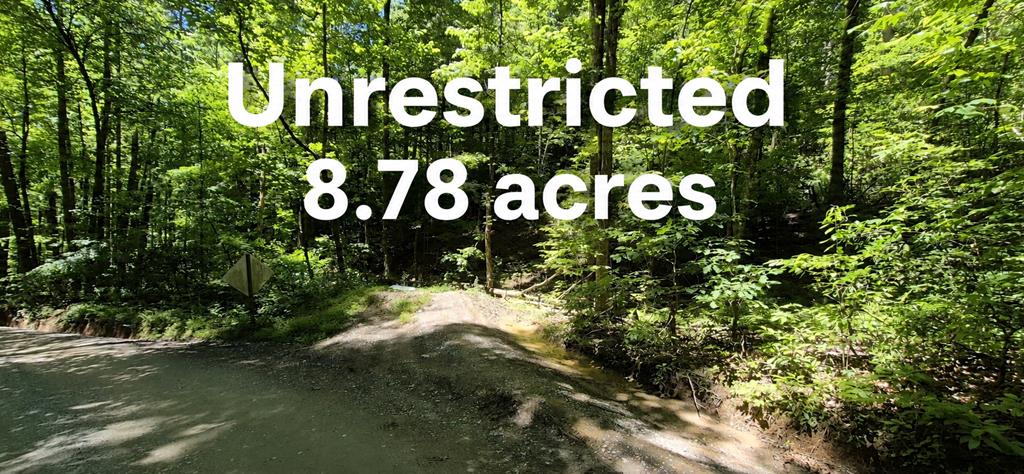 Lot 28 Laurel Ridge Ellijay GA 30522