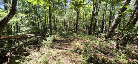 Lot 28 Laurel Ridge Ellijay GA 30522