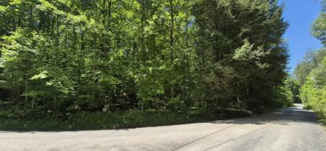 Lot 28 Laurel Ridge Ellijay GA 30522