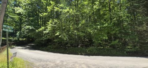 Lot 28 Laurel Ridge Ellijay GA 30522
