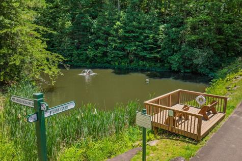 Lot 101r Mountain Creek Hollow Drive Talking Rock GA 30175