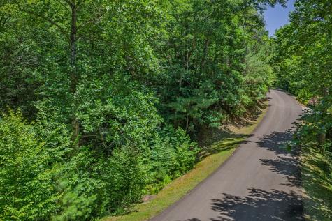 Lot 101r Mountain Creek Hollow Drive Talking Rock GA 30175