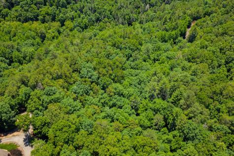 Lot 101r Mountain Creek Hollow Drive Talking Rock GA 30175