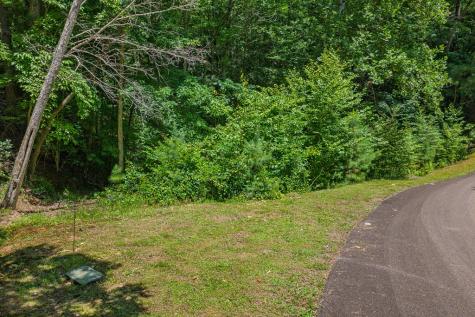 Lot 101r Mountain Creek Hollow Drive Talking Rock GA 30175