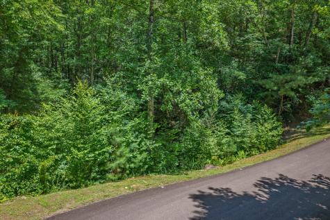 Lot 101r Mountain Creek Hollow Drive Talking Rock GA 30175