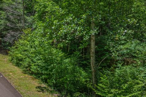 Lot 101r Mountain Creek Hollow Drive Talking Rock GA 30175