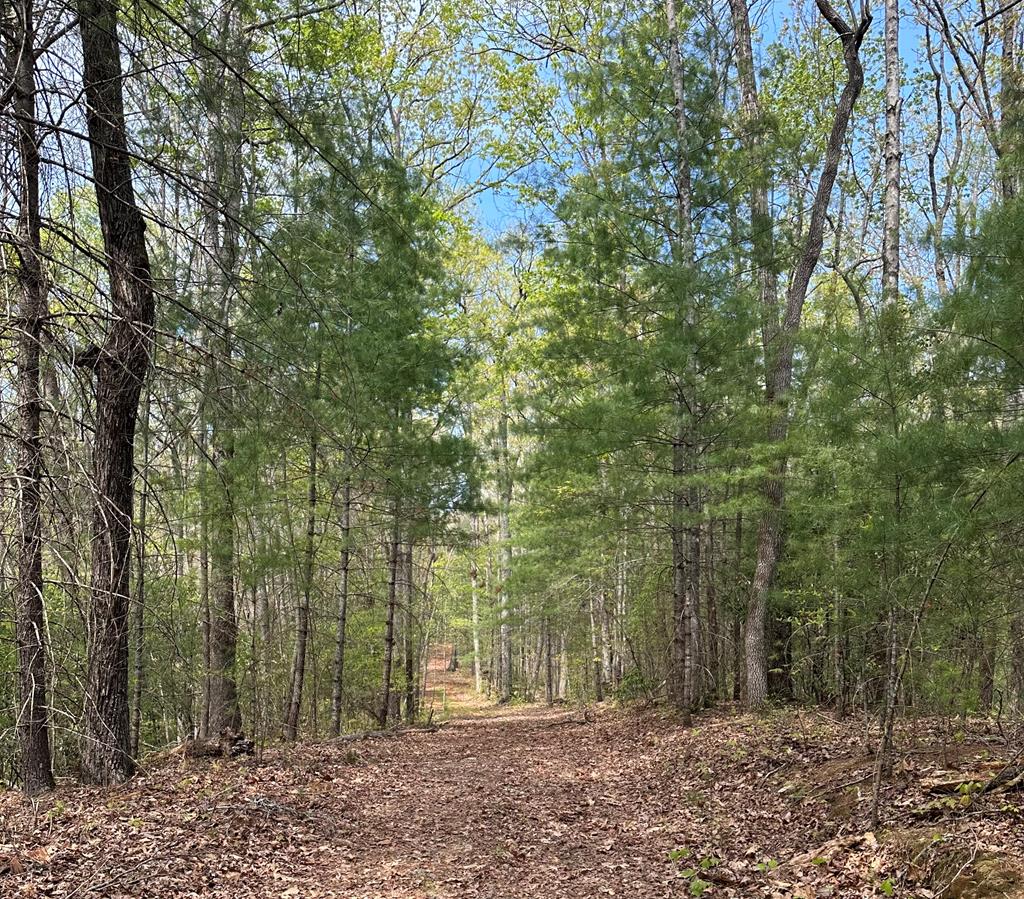 Lot 20 Big Ben Road Ellijay GA 30540