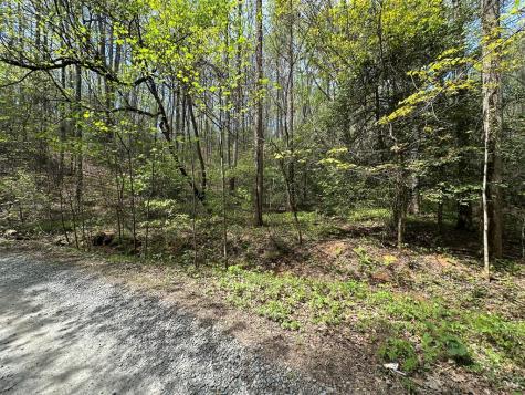 Lot 20 Big Ben Road Ellijay GA 30540