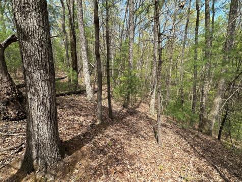 Lot 20 Big Ben Road Ellijay GA 30540
