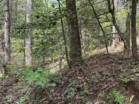 Lot 20 Big Ben Road Ellijay GA 30540