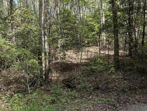 Lot 20 Big Ben Road Ellijay GA 30540