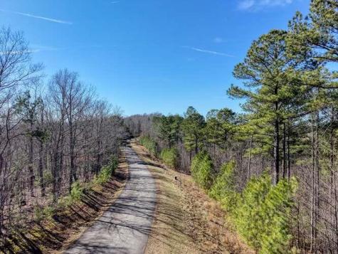Lot 61 Thirteen Hundred Blairsville GA 30512