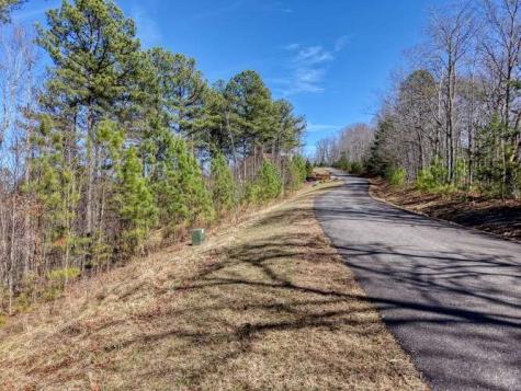 Lot 61 Thirteen Hundred Blairsville GA 30512