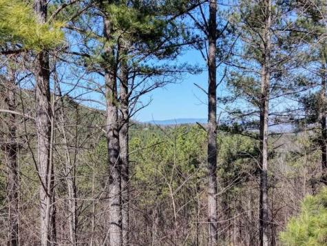 Lot 61 Thirteen Hundred Blairsville GA 30512