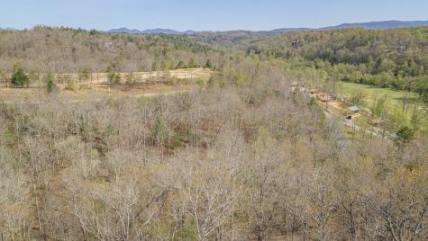152-153 Hickory Way Mineral Bluff GA 30559