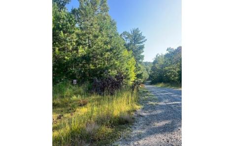 Lt 50 White Pine Ridge Ellijay GA 30540