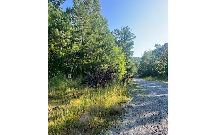 Lt 50 White Pine Ridge Ellijay GA 30540