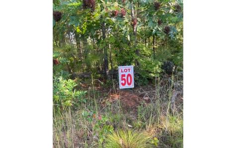 Lt 50 White Pine Ridge Ellijay GA 30540