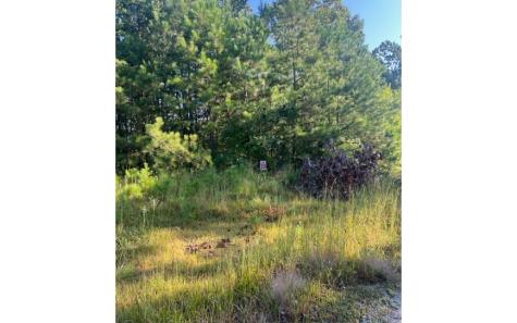 Lt 50 White Pine Ridge Ellijay GA 30540