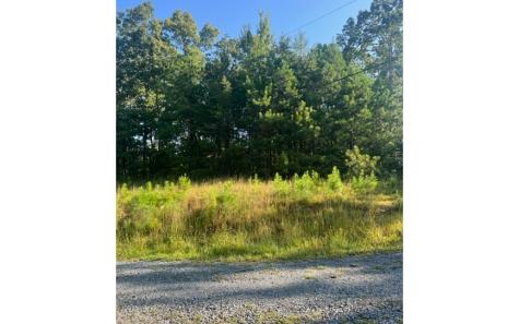 Lt 50 White Pine Ridge Ellijay GA 30540