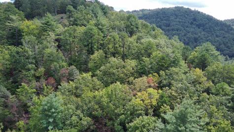 Lot 7 Sequoia Hills Lane Clayton GA 30525