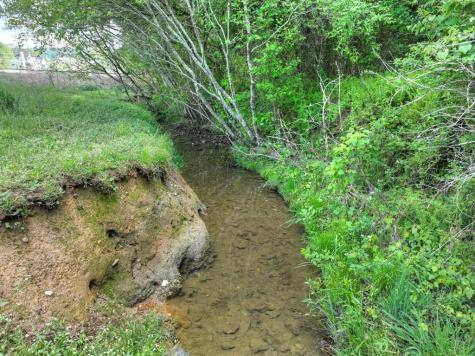 6.74 Ac Doxol Street Blue Ridge GA 30513