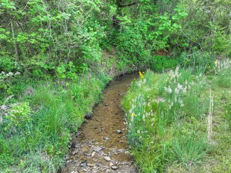 6.74 Ac Doxol Street Blue Ridge GA 30513