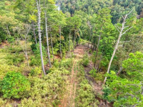 Lt 269 River View Trail Ellijay GA 30540