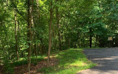 LOT21 Bryant Cove Road Blairsville GA 30512