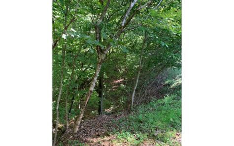 LOT21 Bryant Cove Road Blairsville GA 30512